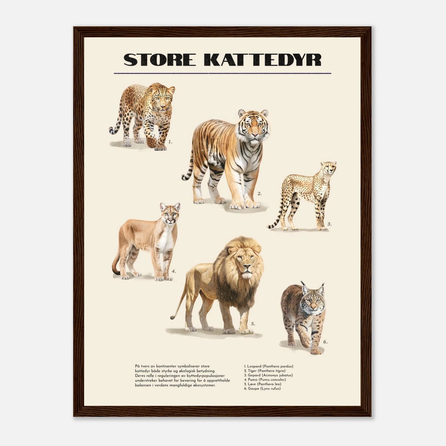 67f5e8e4-29b3-4f91-878b-00e0be21ebde