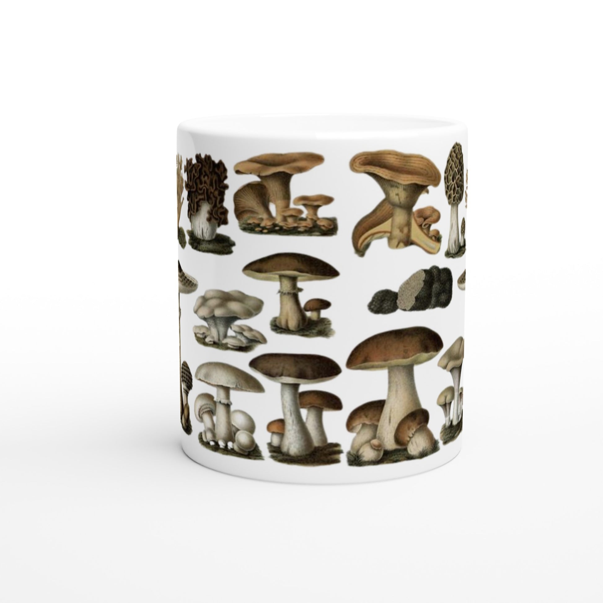 07848507-ab6d-4e13-adf1-edb5579c8938