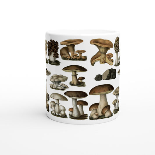 07848507-ab6d-4e13-adf1-edb5579c8938