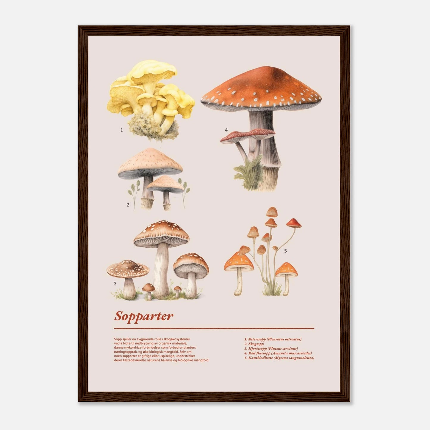 0b4814aa-1fd7-499d-9410-110af5f4416a