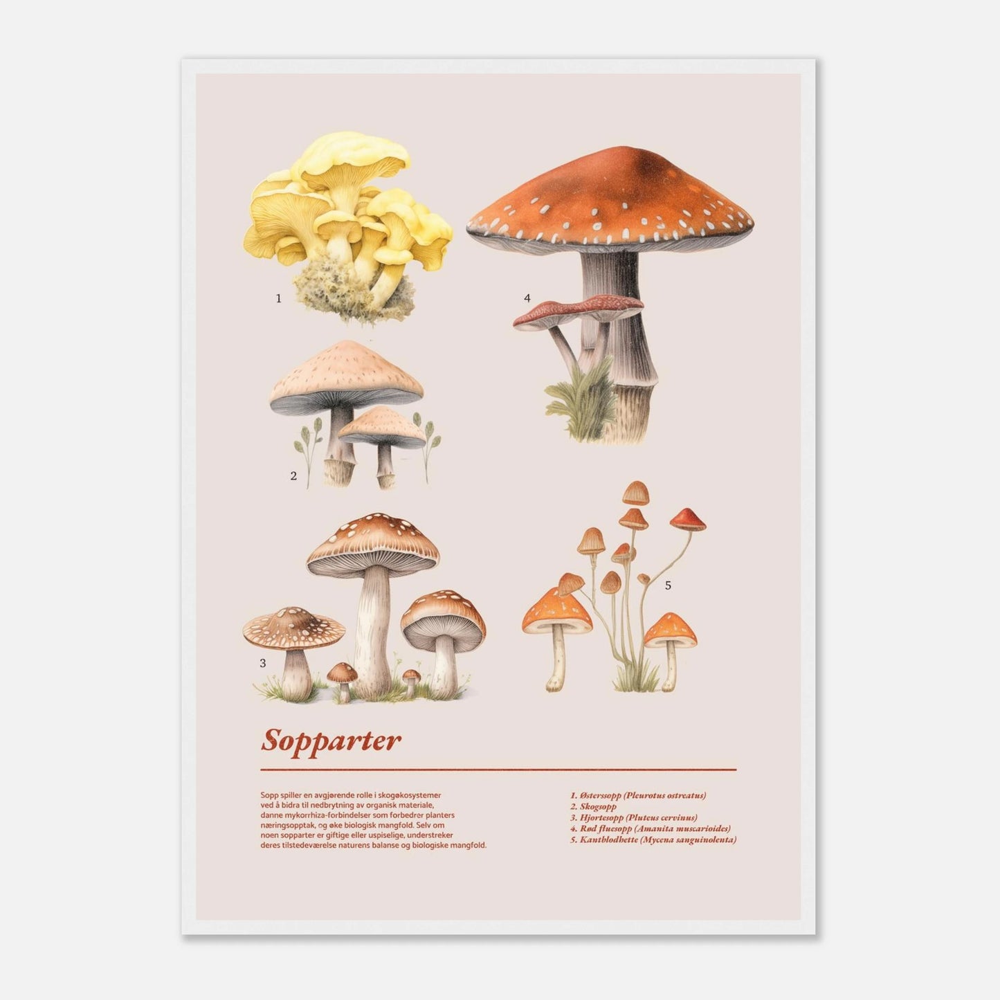 13bf69e9-eb1c-4811-a669-8369bb90c4f5