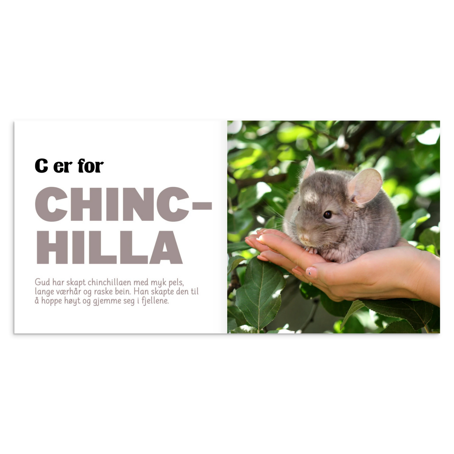 1769a117-1604-4258-864d-16cd19f54b7a