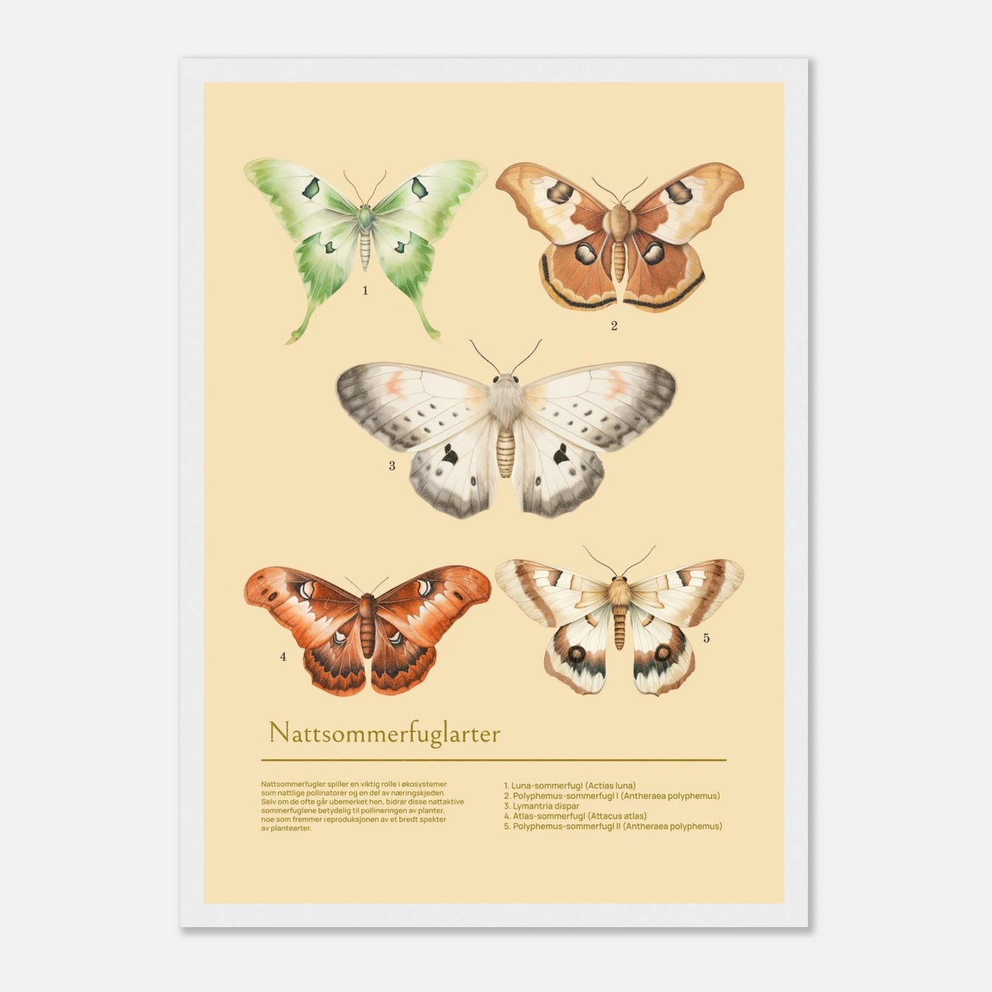 1835eaa4-6f5d-46a2-815b-eec2a3a6ea89