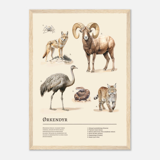 2047343a-9a8c-4c9b-8450-bd2ae3415c45