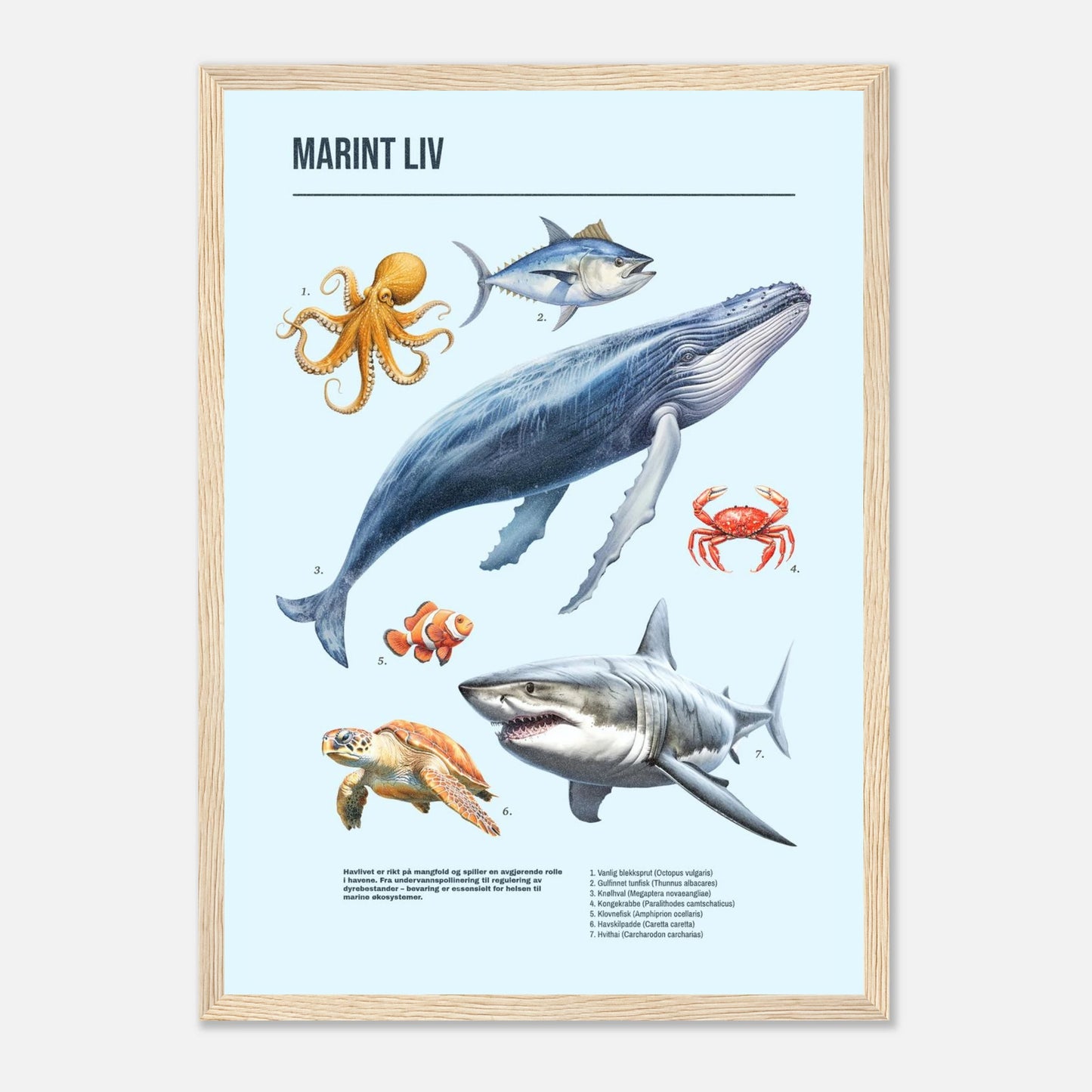 28ccc54e-af72-4e25-8492-37a16057e569