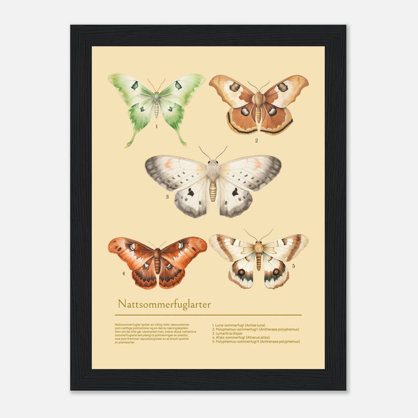 29cb2b73-8cbe-4ab0-a355-a1467b609536