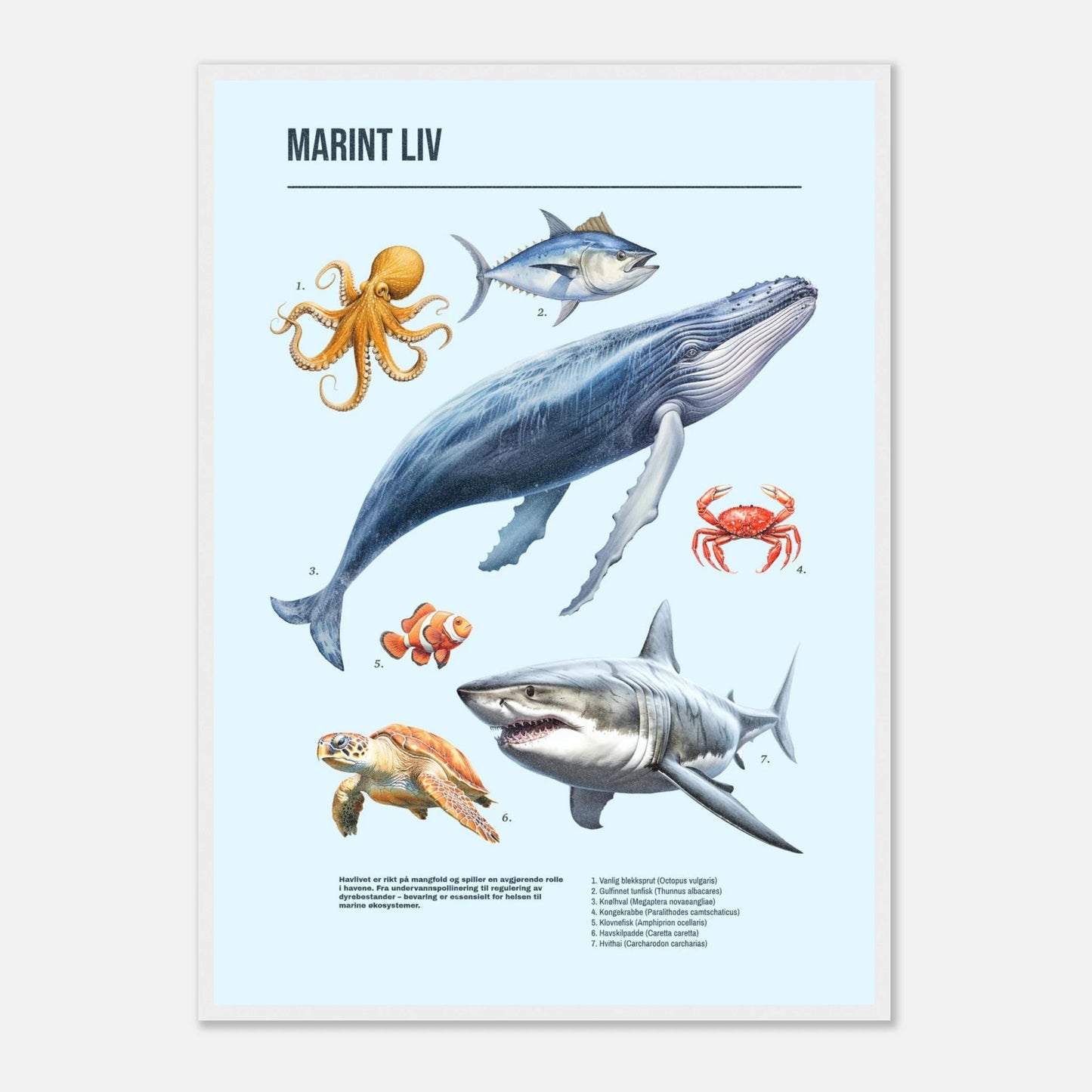 37b675ba-02a5-40ef-ae3d-11618420f34d