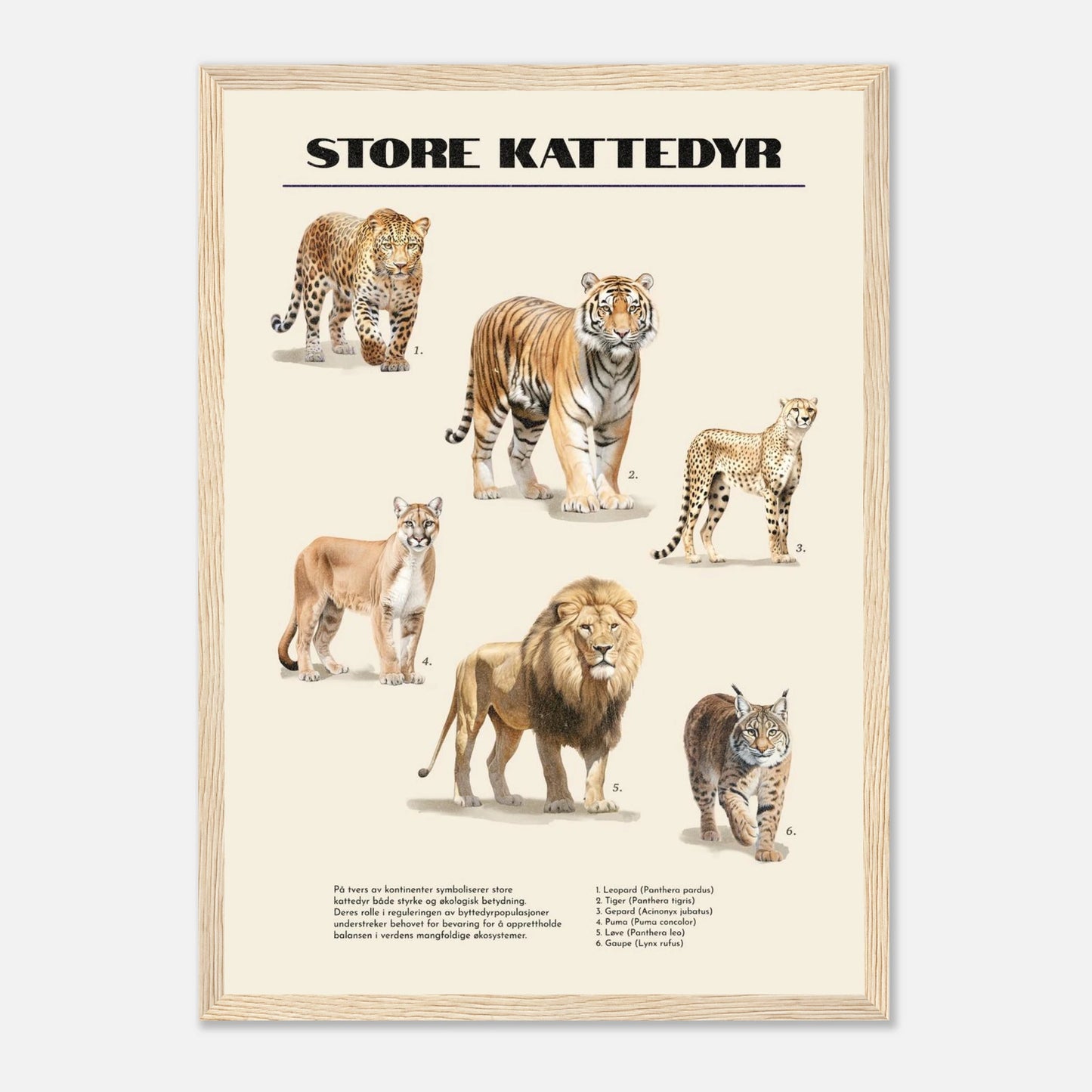 3bea29a7-7ad1-49a9-ad19-2363d826a43e