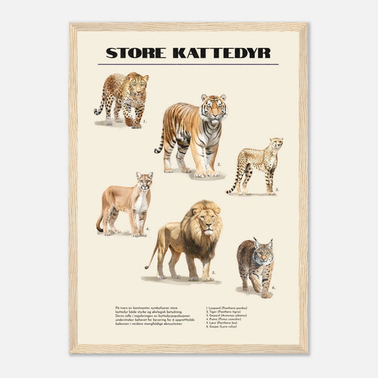 3bea29a7-7ad1-49a9-ad19-2363d826a43e