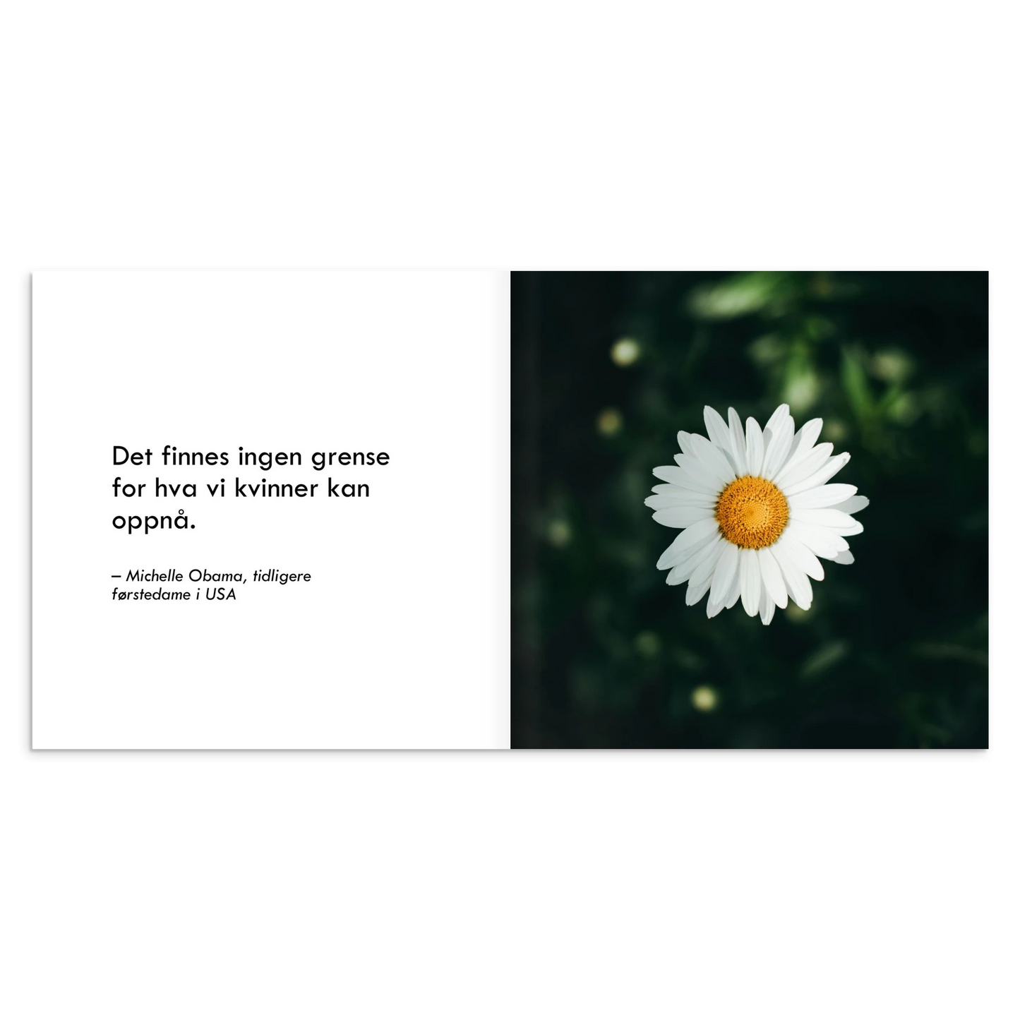 415653b6-d395-4f54-9821-07224a39ff9e