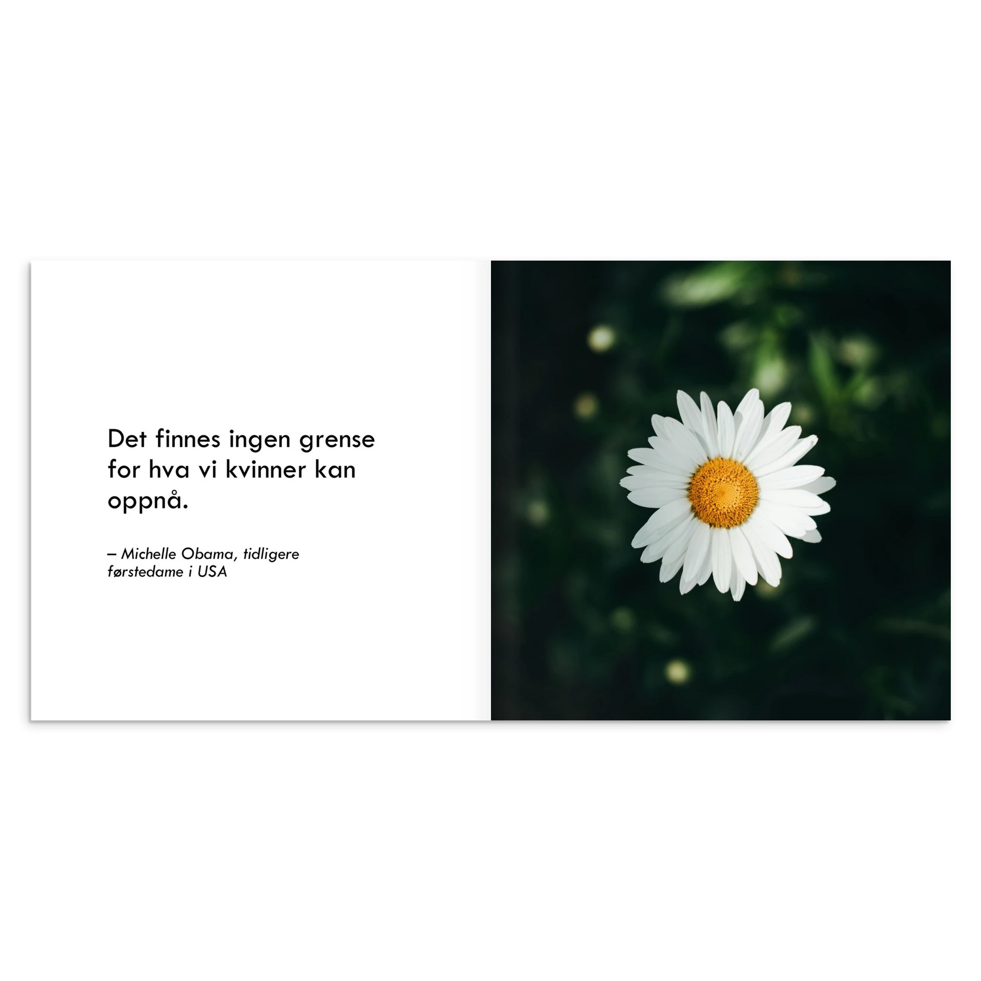 415653b6-d395-4f54-9821-07224a39ff9e