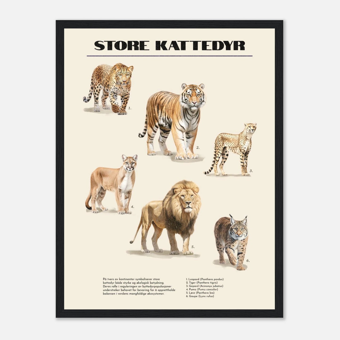 481da3d9-4ba3-4aa2-8636-ba622beb4c8c