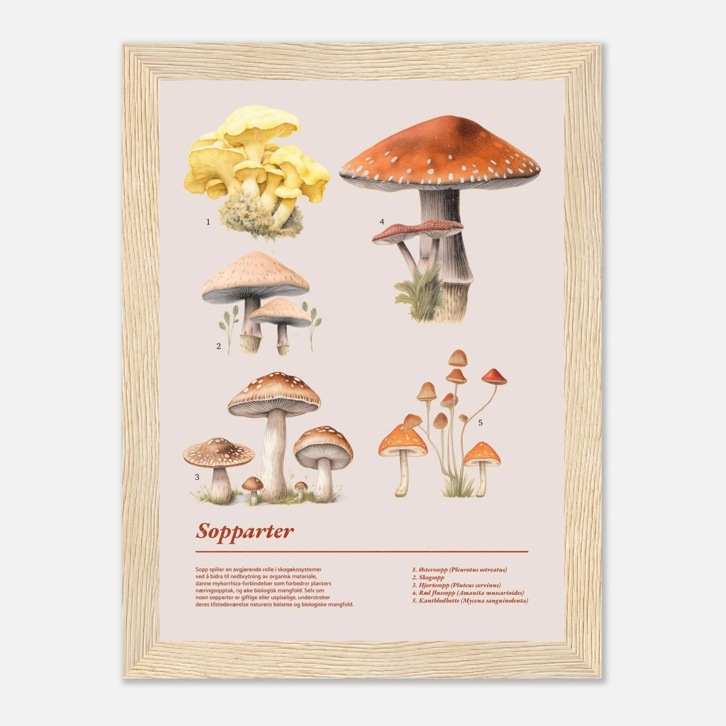 5028ea95-23d3-45d9-9a92-2cc5a54add95