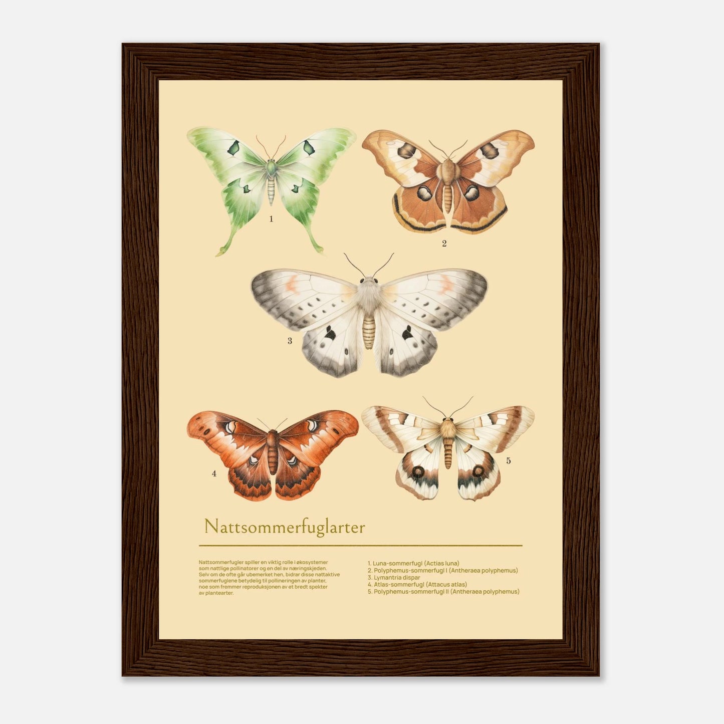 529afd77-763f-4c95-a83a-c0fe5613f75c