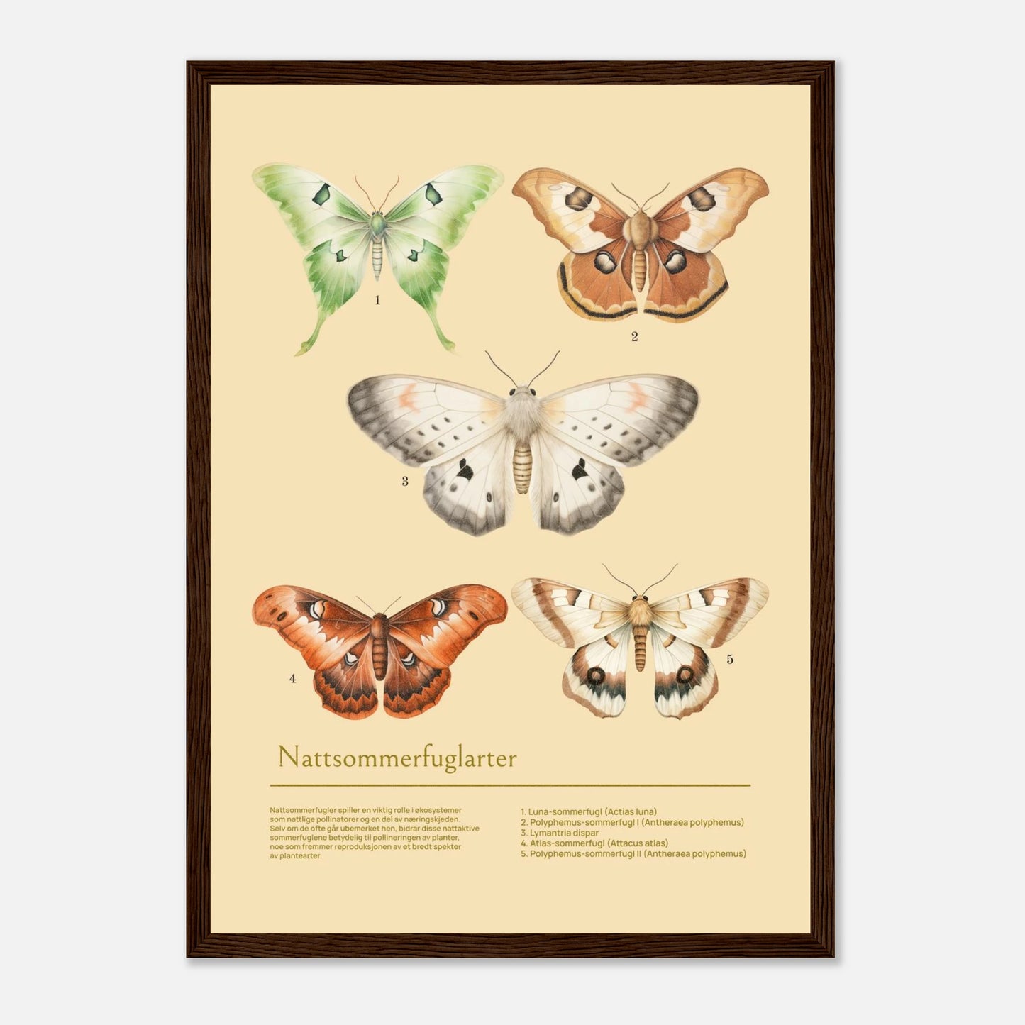 547f8d84-868d-4c03-bbec-fcb1f358aa85