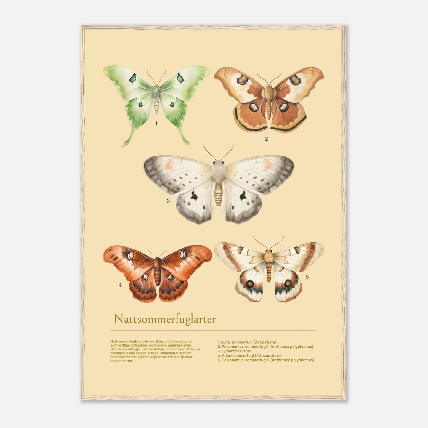 581190e6-e678-4106-95e9-44fd0d2dad97