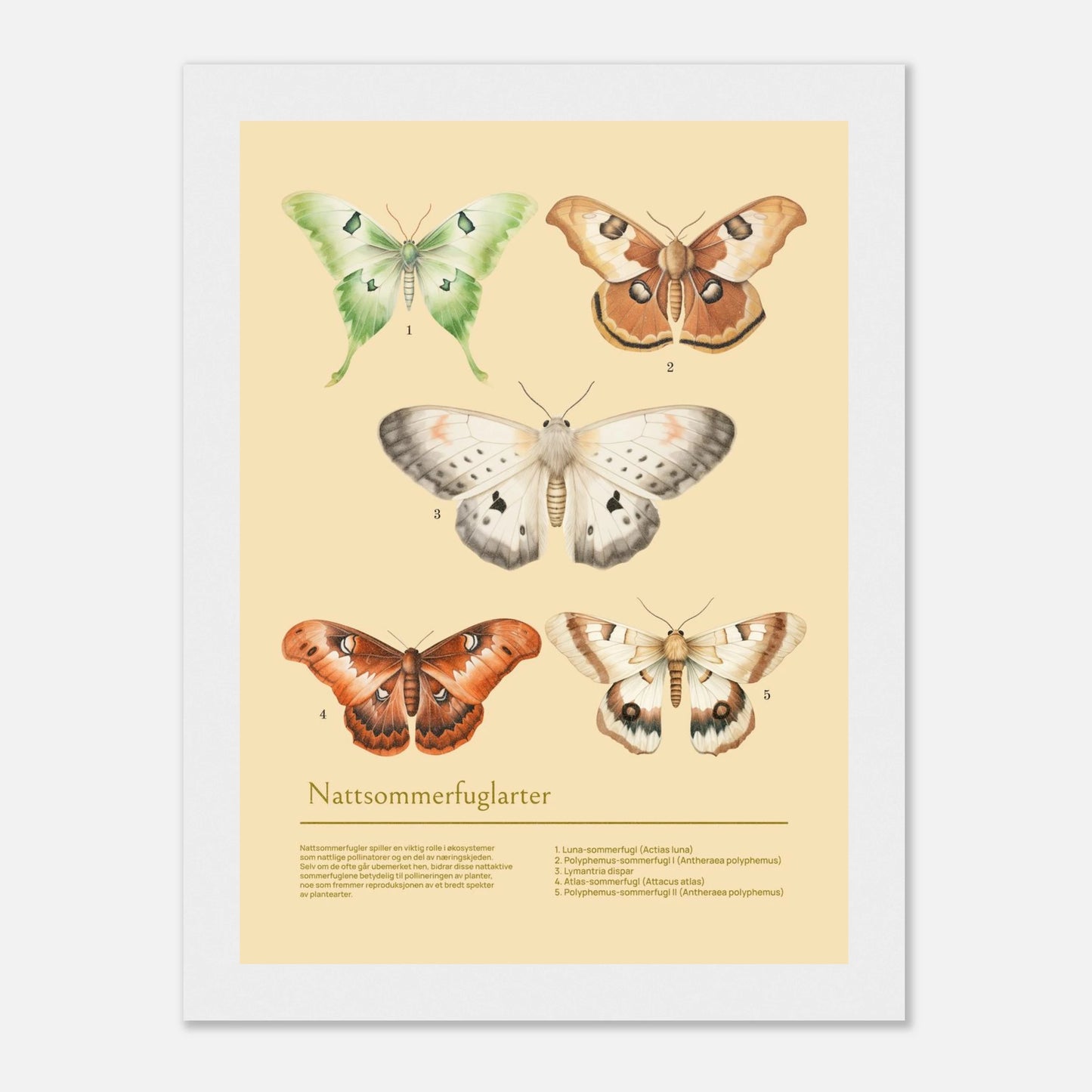 606b19ea-05c5-42cb-80b5-64483b1f5b4b