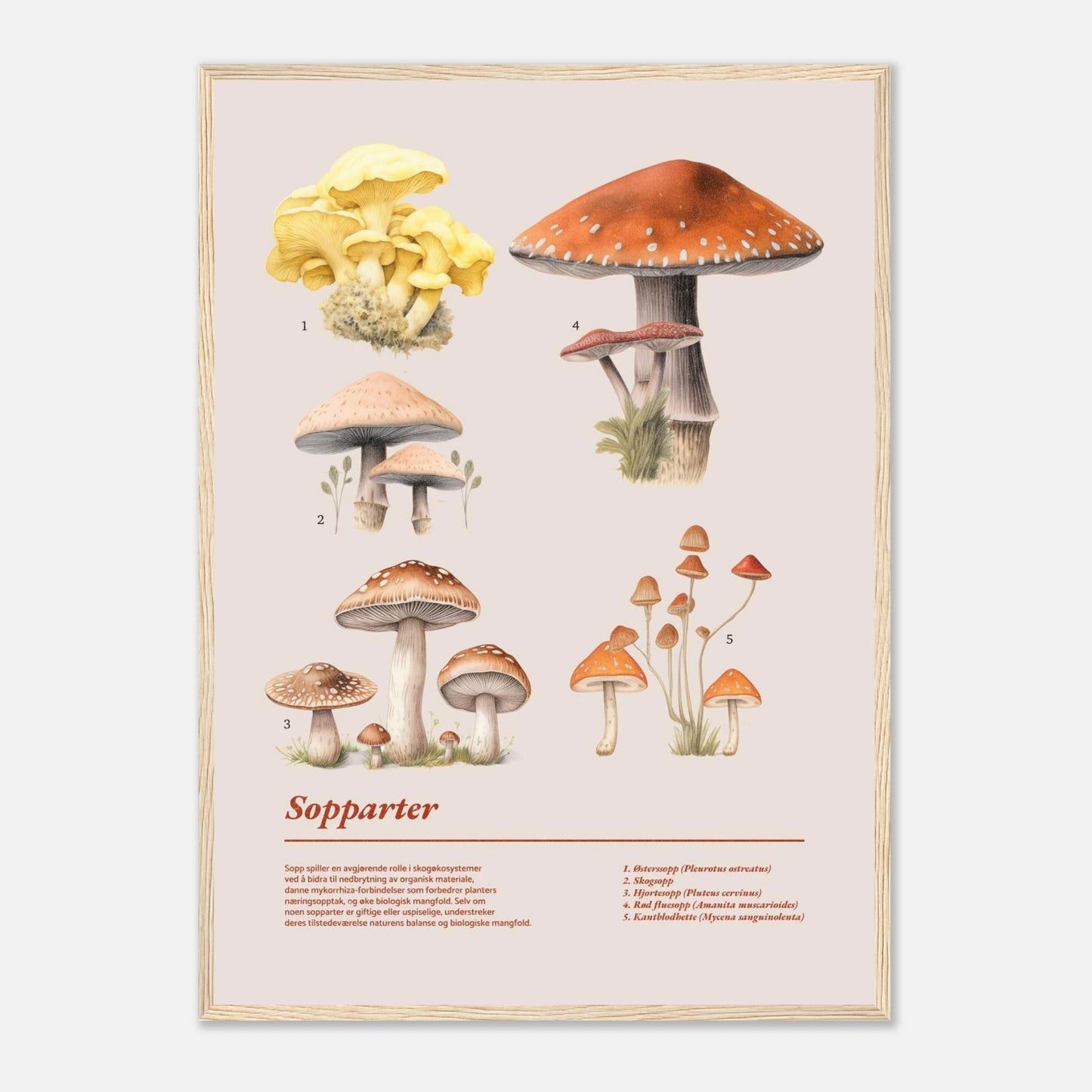 65058154-016f-455c-b076-d63de78fad06