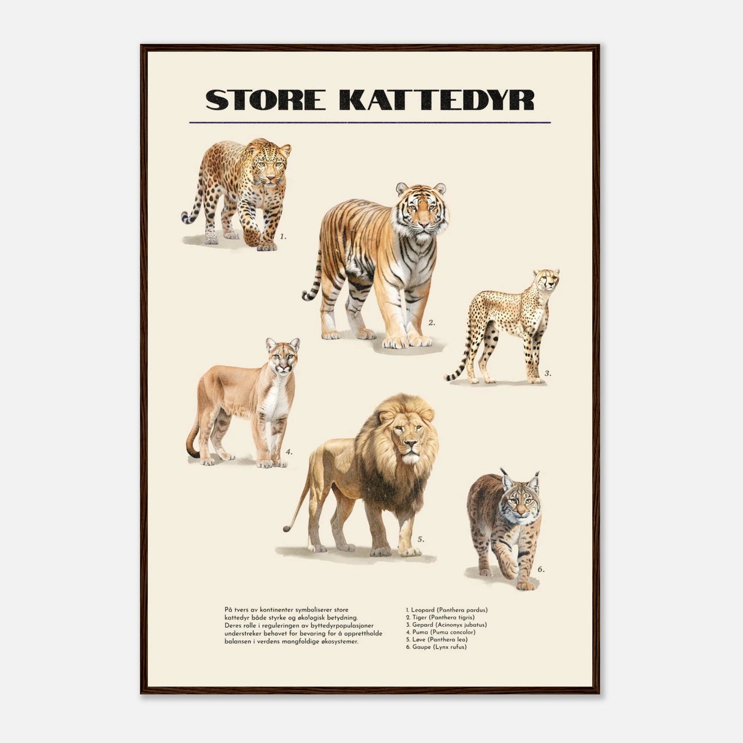 67e5598c-56dc-451d-a715-ca59ffc9cf96