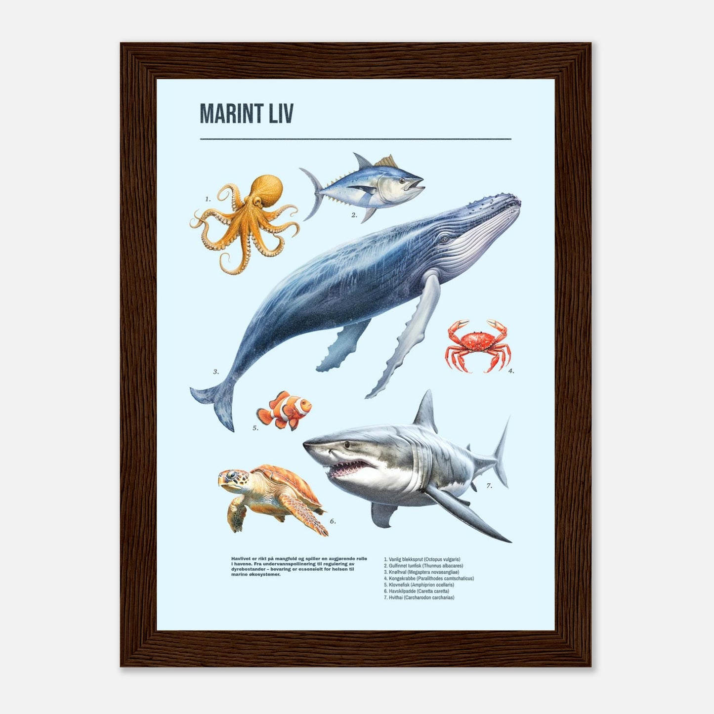 691fbd42-1a09-4503-ad05-be97a260eaba