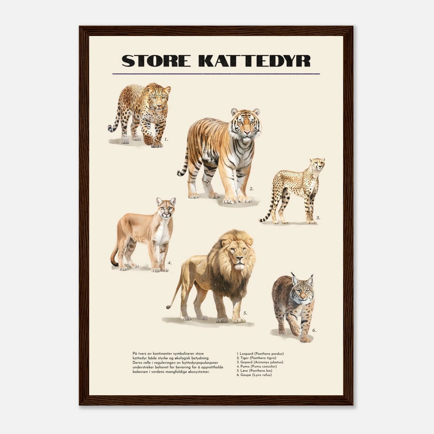 69a36cc0-a1a1-421f-8dc4-62eb9315fac9