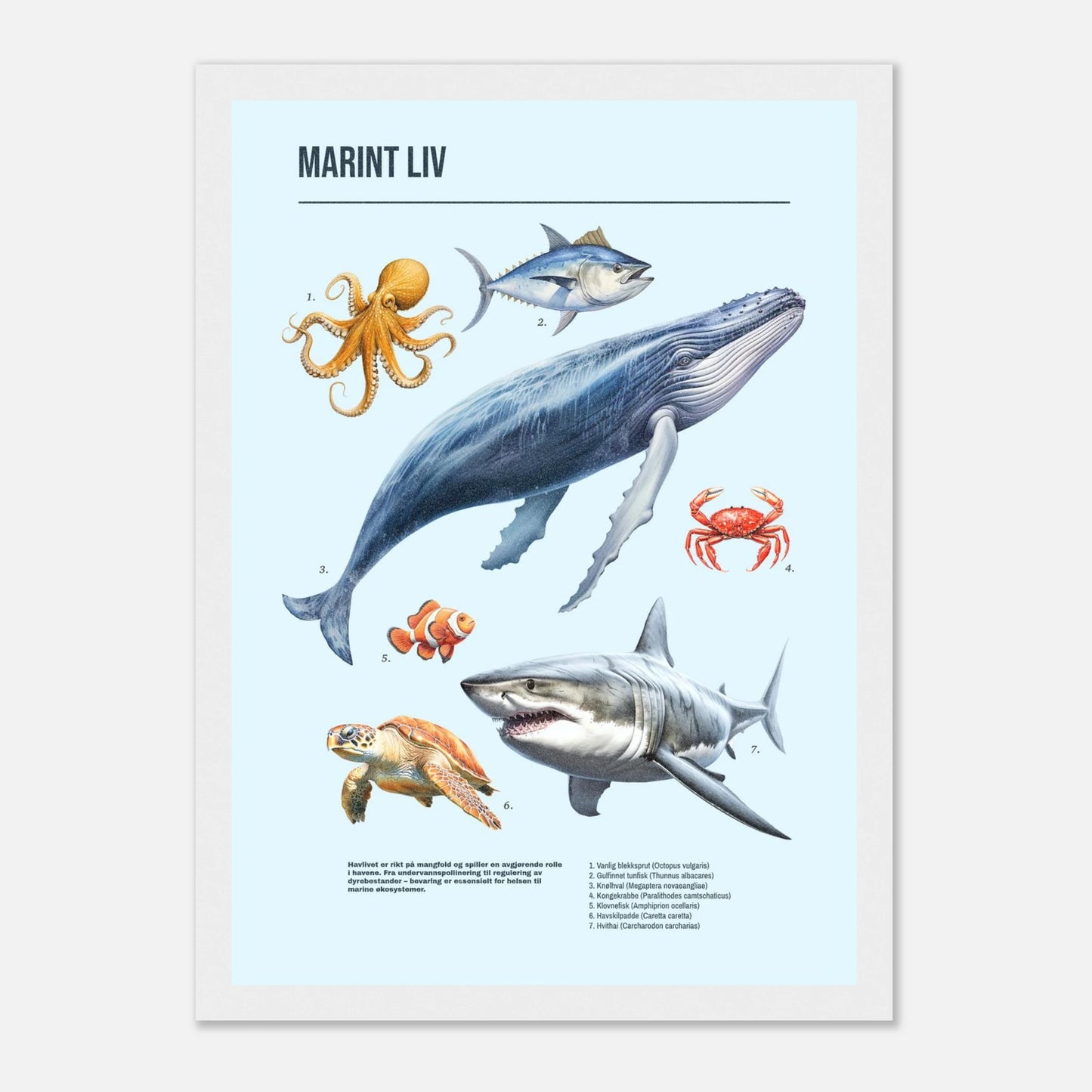 726055fd-34ef-48d0-a94e-5b366a2ecb7d