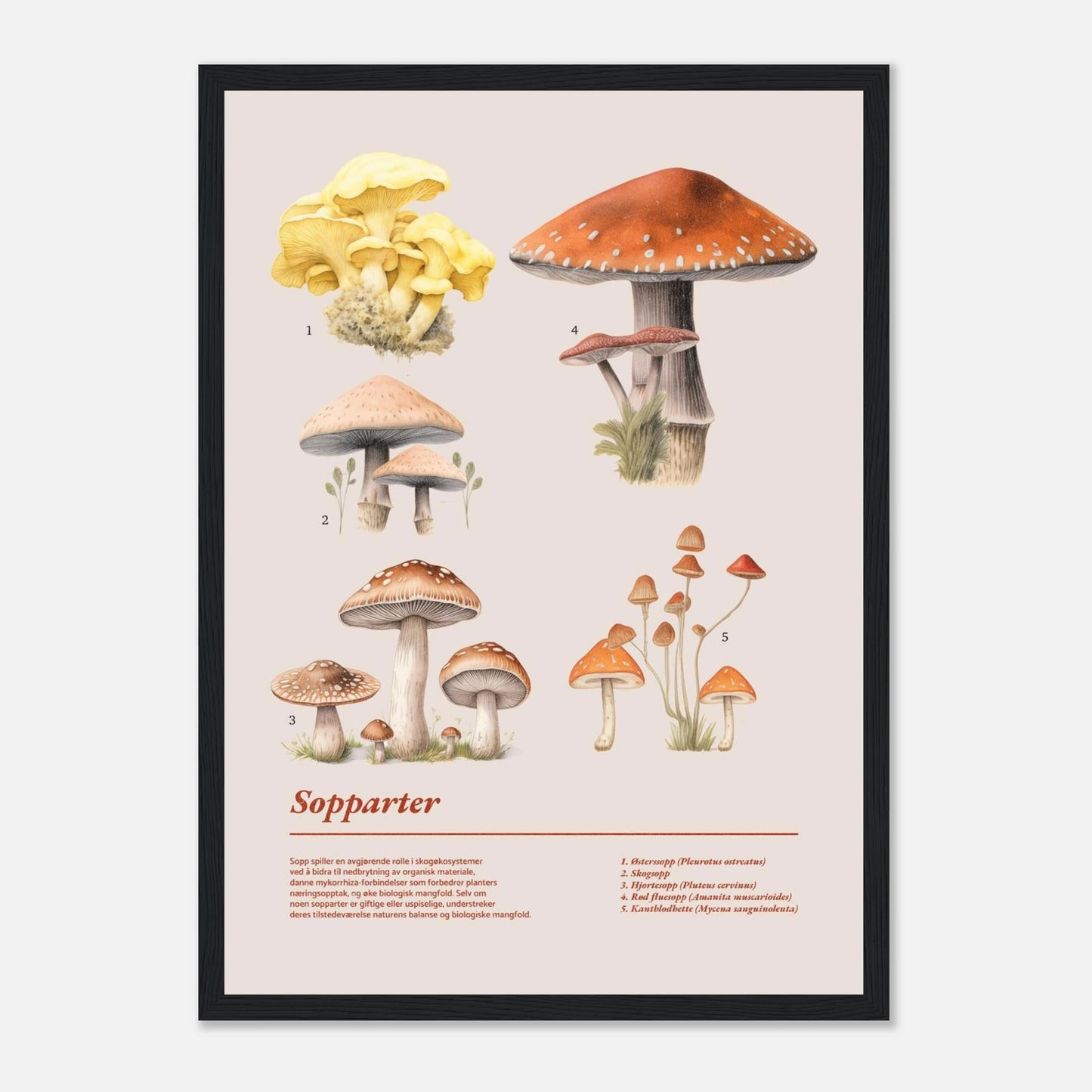 749a0b43-7a64-4b58-966f-8fc5e42b2a7c