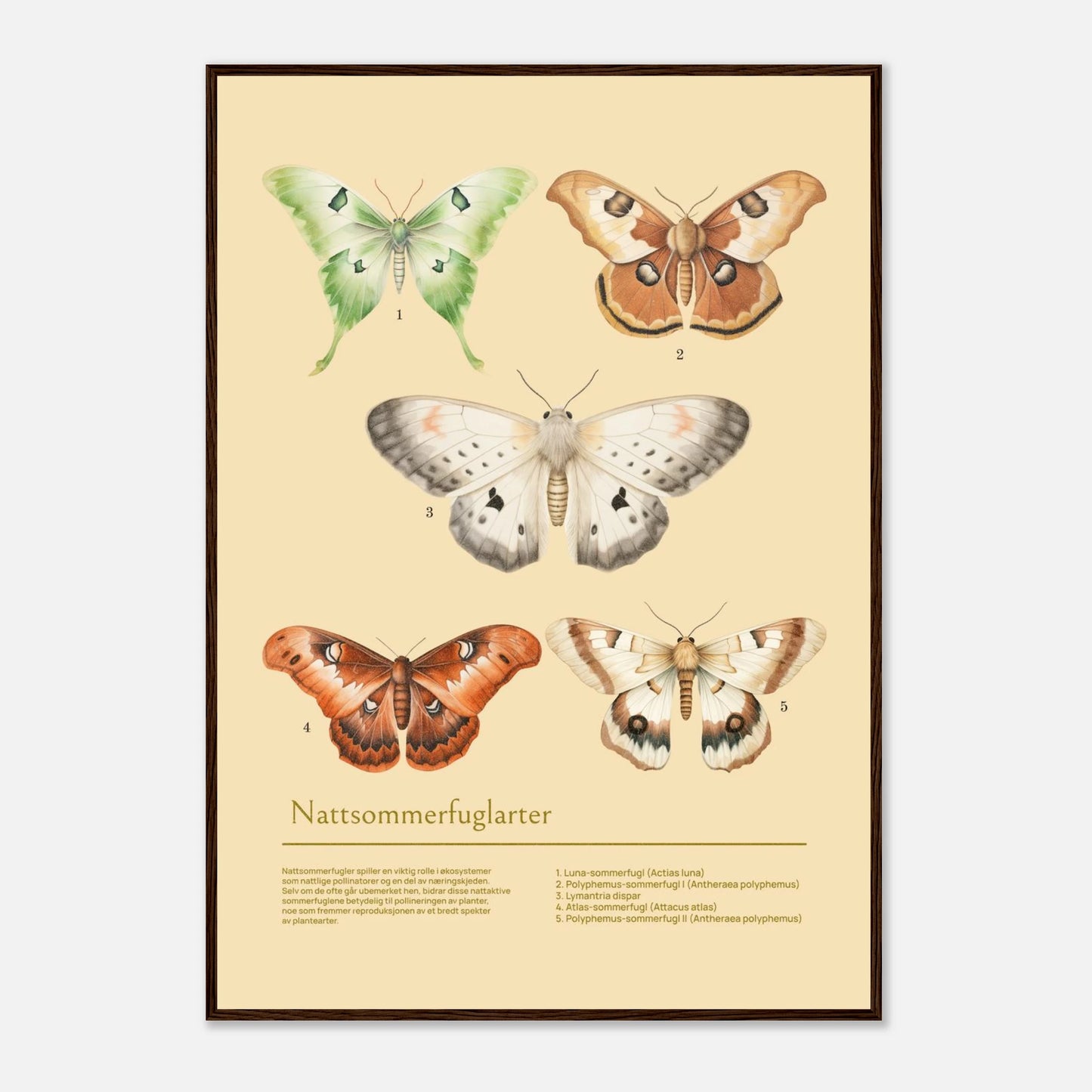 76f21cfe-395d-4346-9421-cf2e081a8e85