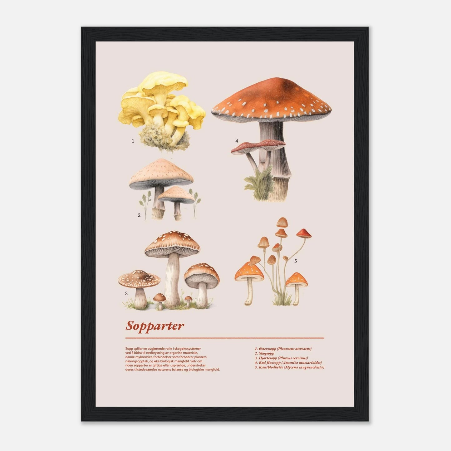 7f0505e6-c1a4-430a-ba57-f8c3aa41afd7