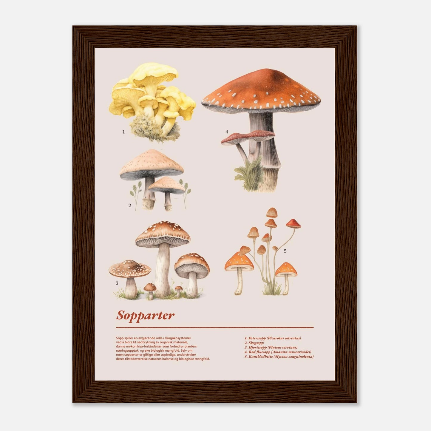 897b3fed-801c-4203-b801-dbe269277304