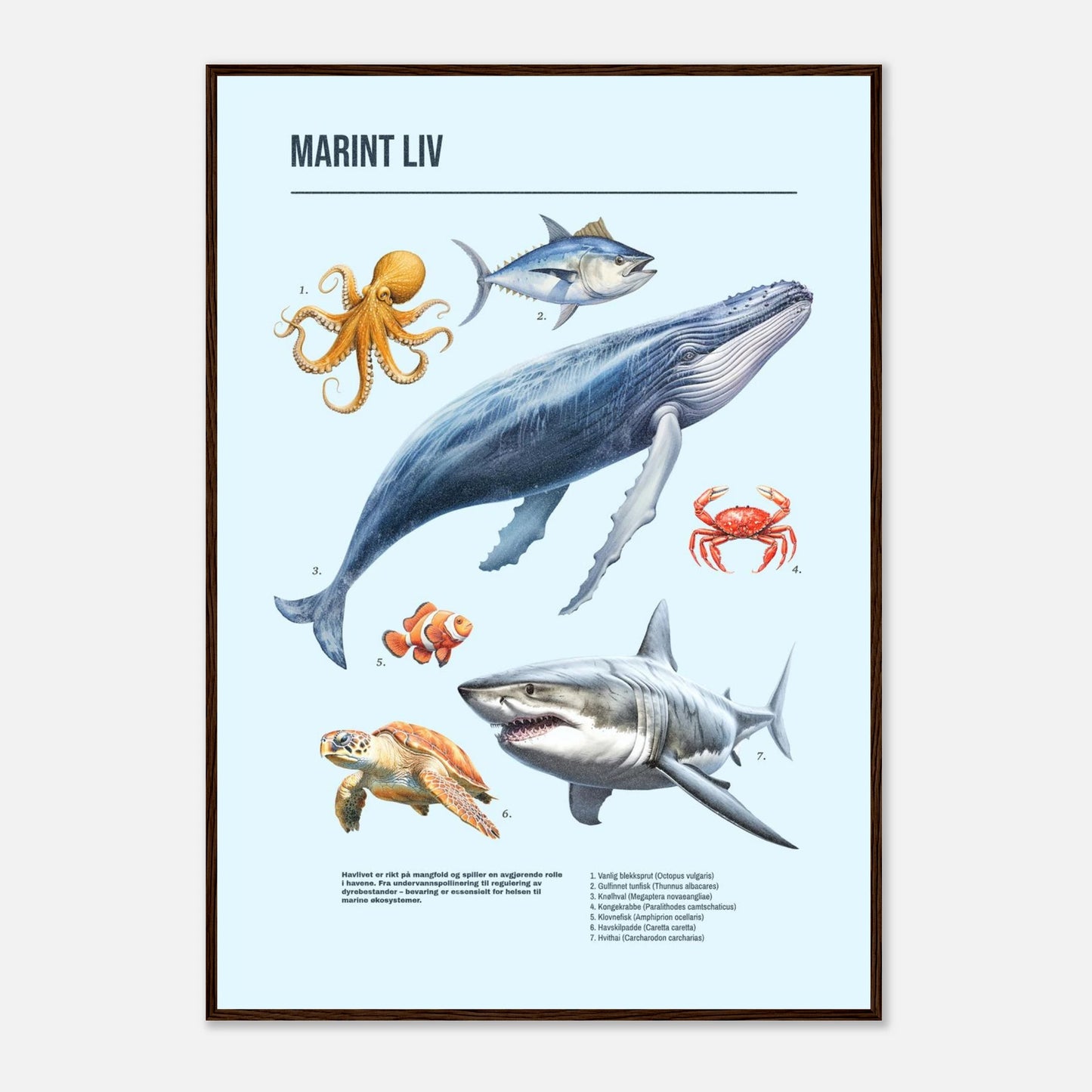 916e45c9-a27f-49d8-81ff-876d6c912a71