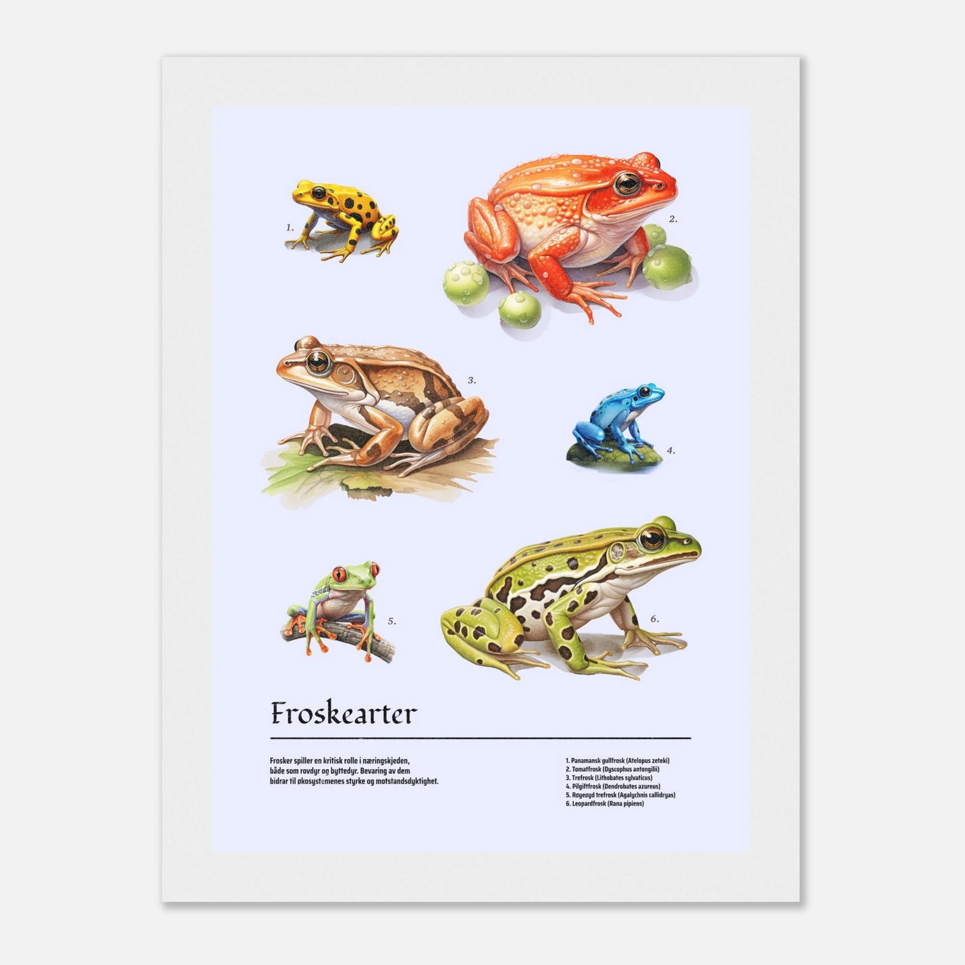 927bfa13-be26-4fc1-97cb-d8fc29fe4b1c