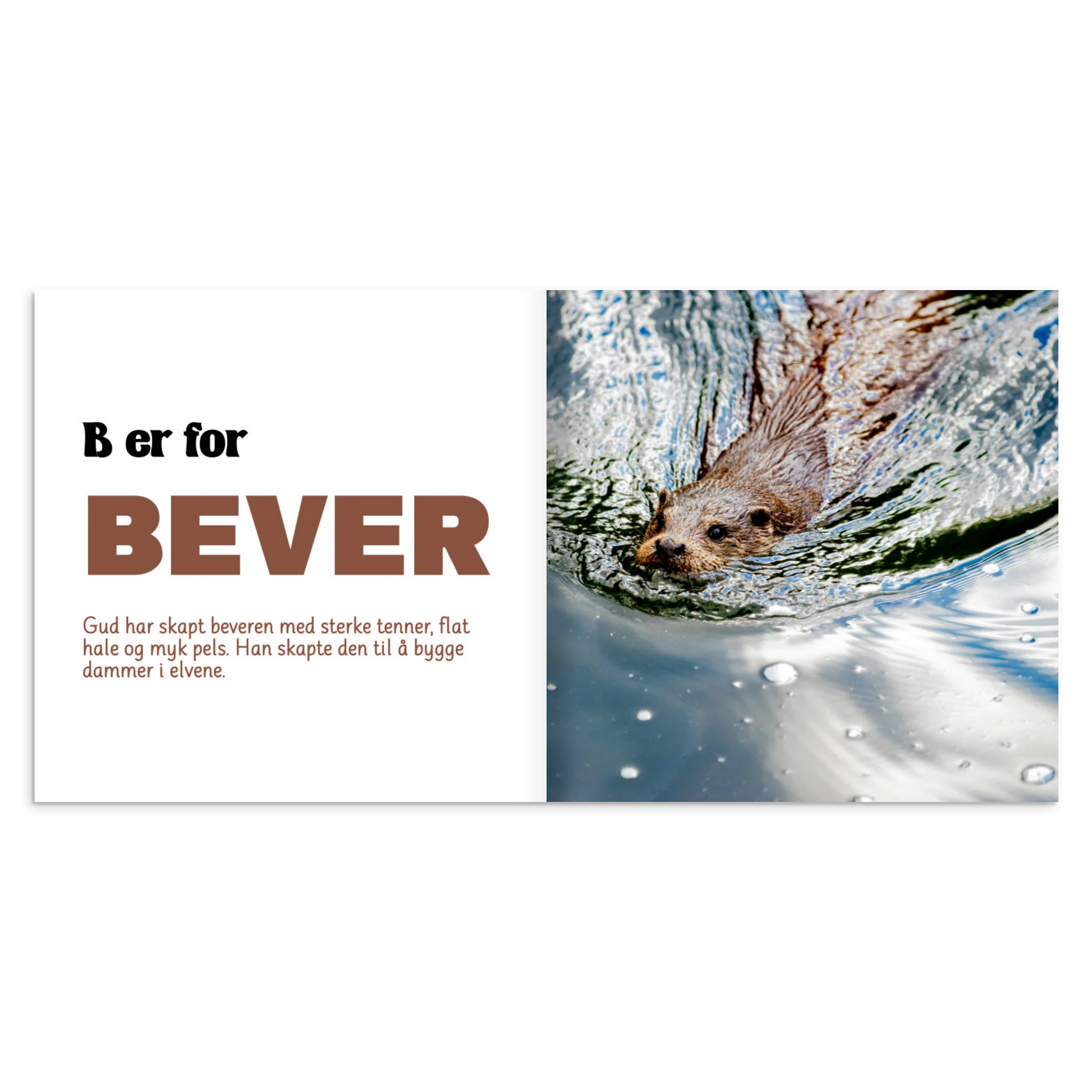 94f3068f-62fd-443a-862e-f6171455cf51