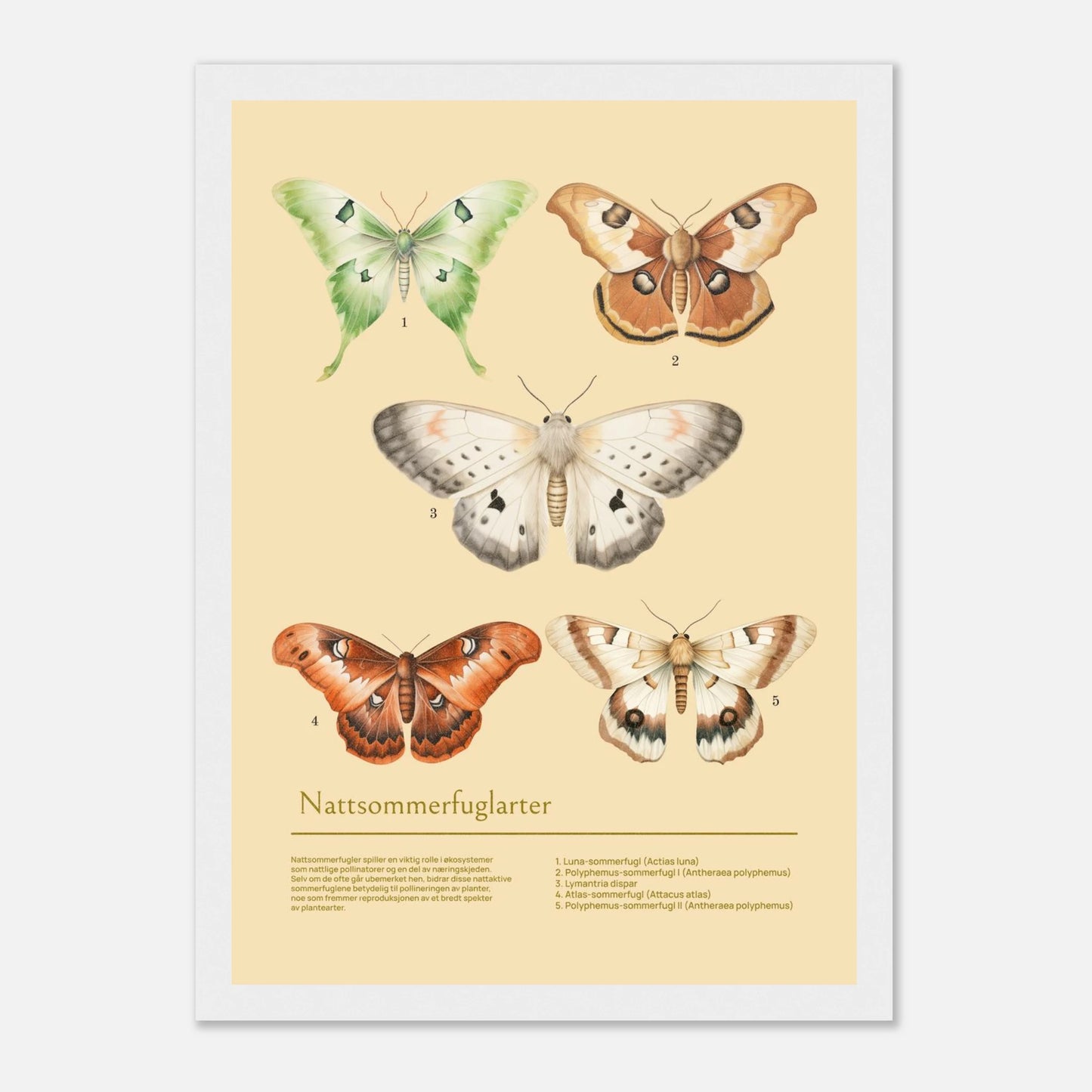 9593e8a6-aef2-43f2-9320-df286b718abb