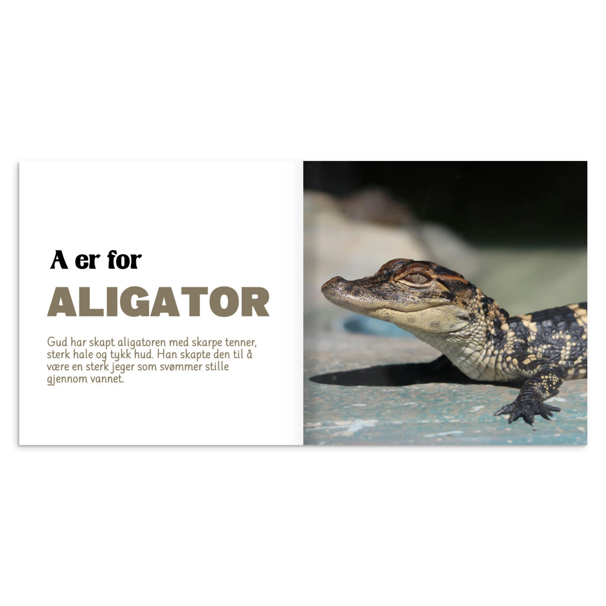 9927f1d1-0635-461e-846e-caa30b461713