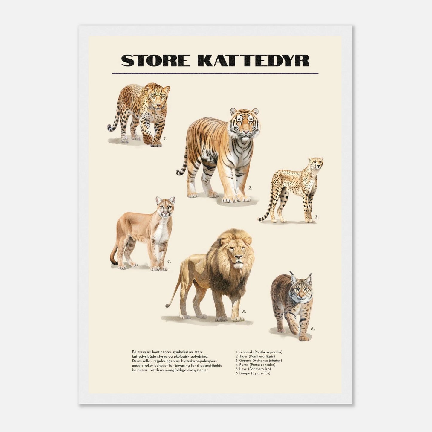 9a0cfbc3-020d-4485-bb53-8940171c5c75