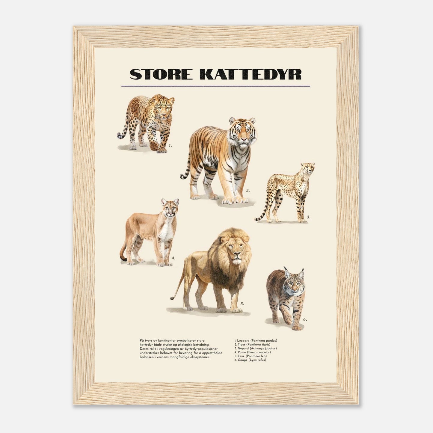 a2d05301-d261-4b7d-8439-36f45d307359