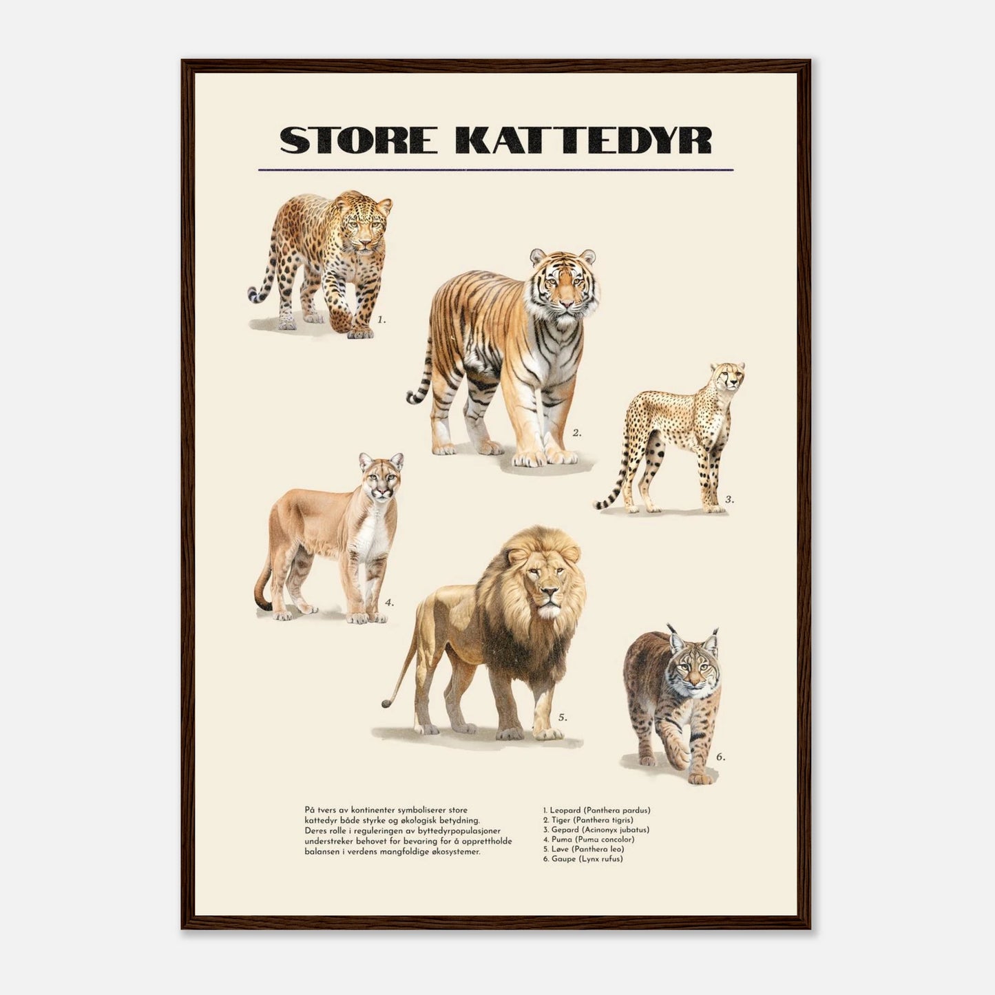 a49f887a-97e1-4150-9339-ff7aa9f65e89