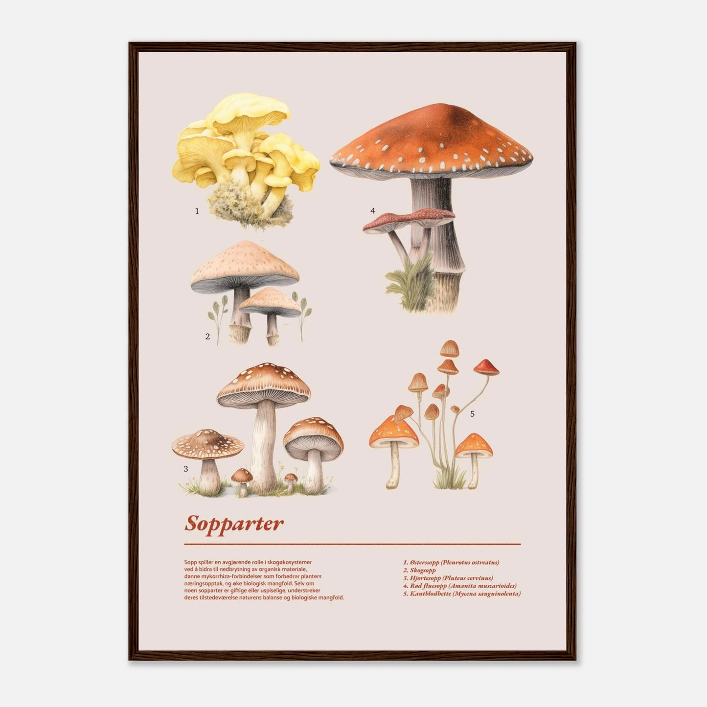 a7224767-63a8-44c6-b6de-844ef0cd849b