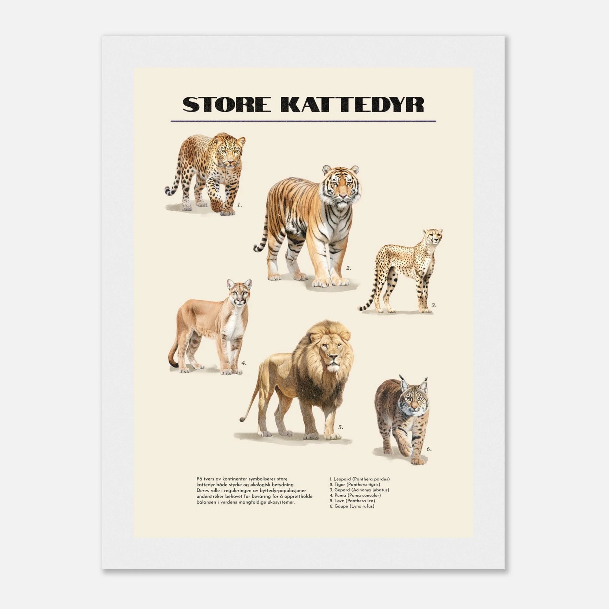 b4fe35ac-e220-4535-98a5-c0802e6b98fb