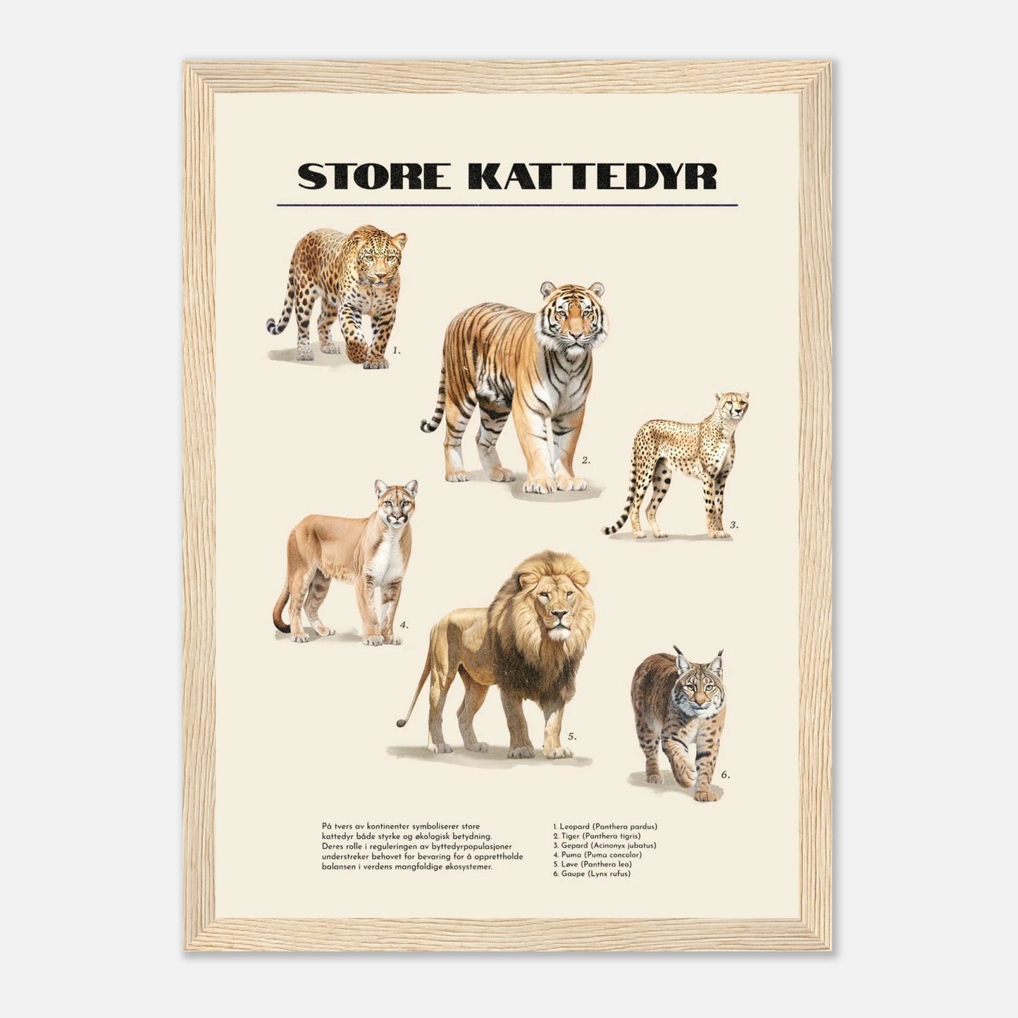 bfb9589a-74be-418b-9627-04b69dfefb0f