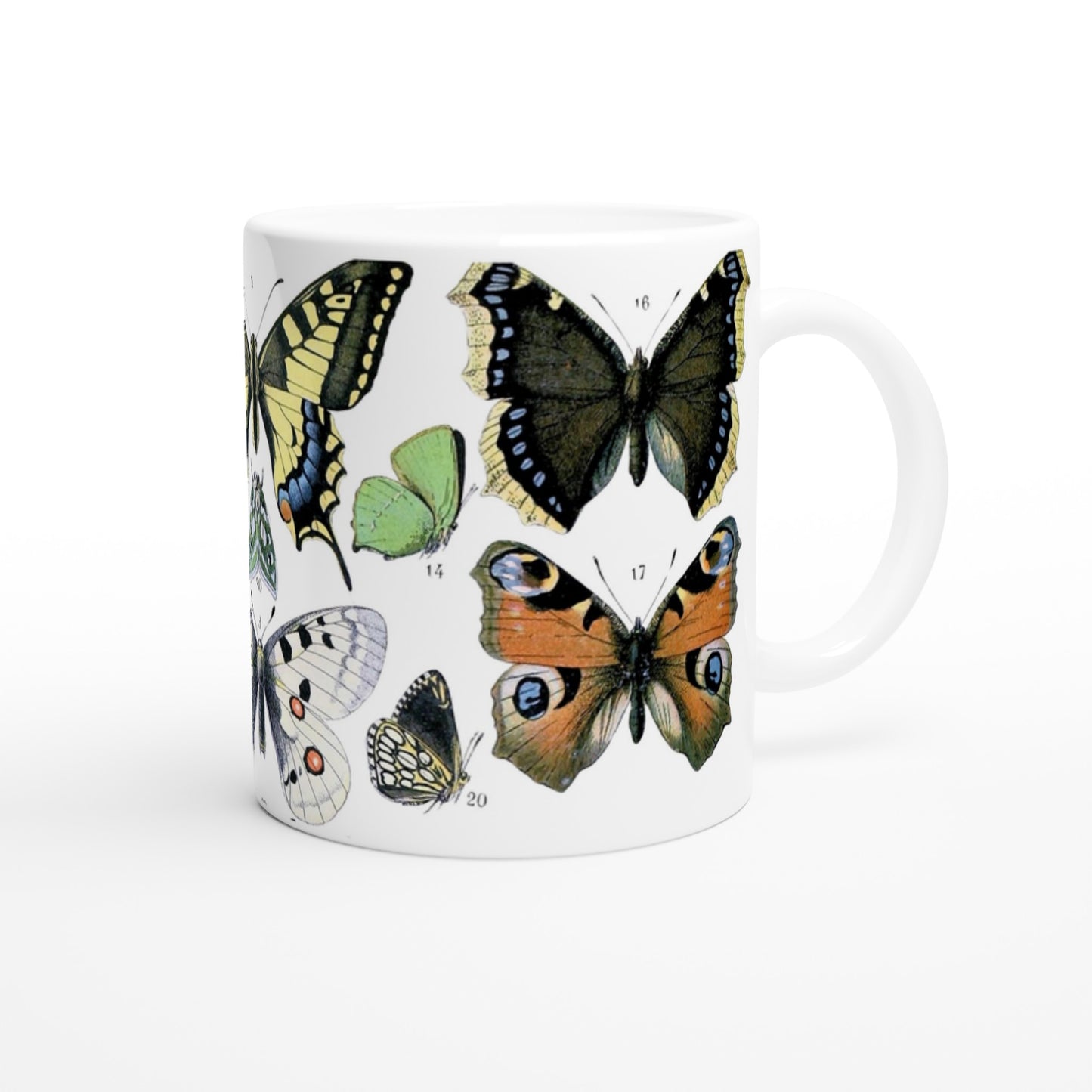 ce1172f5-728f-4c38-9866-f467a09e343e