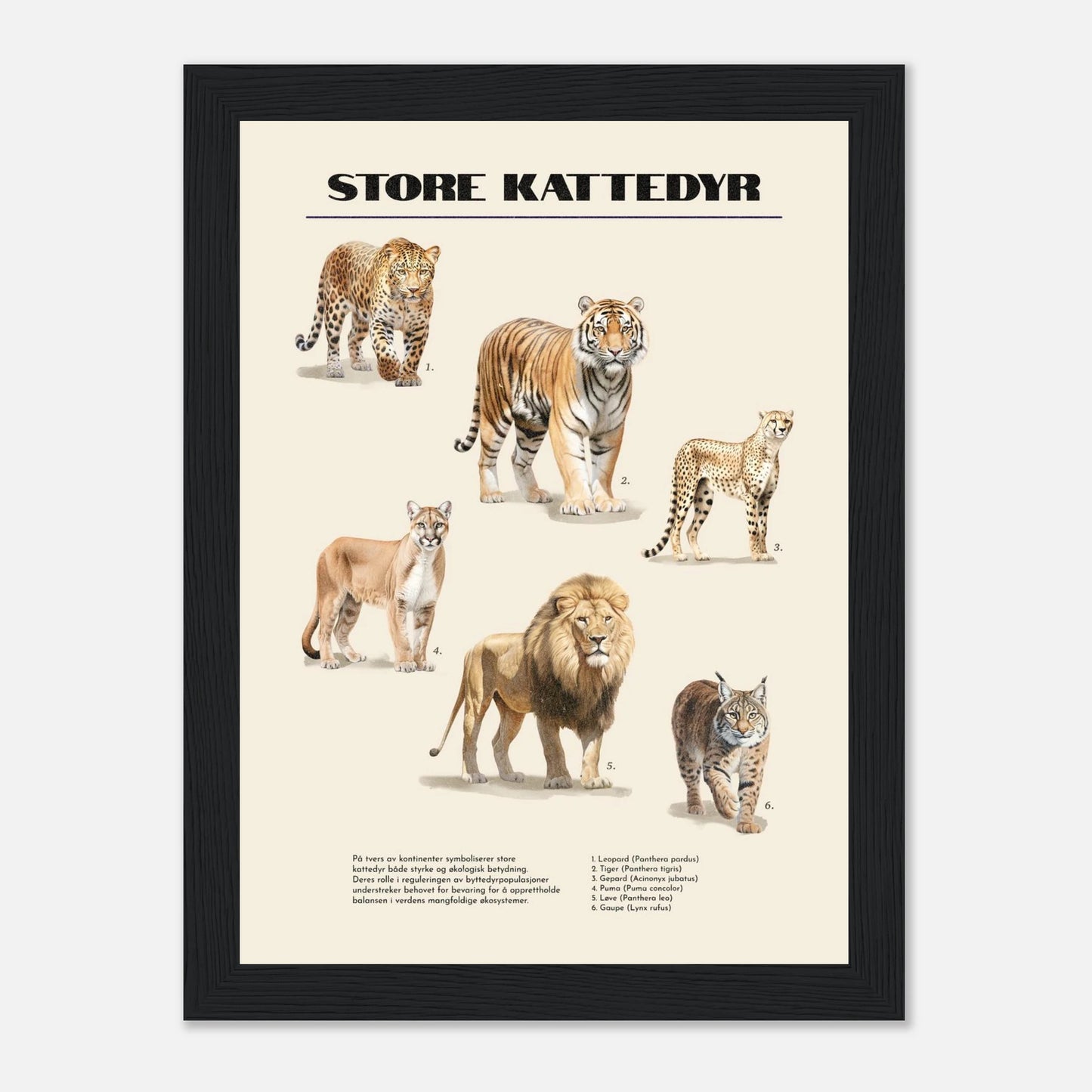 cfeffe06-e12a-408c-b933-6d24cad3e3f9