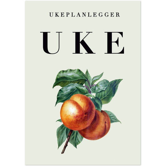 d1e52b9c-f084-4b0a-af0b-8cf7a56d5599