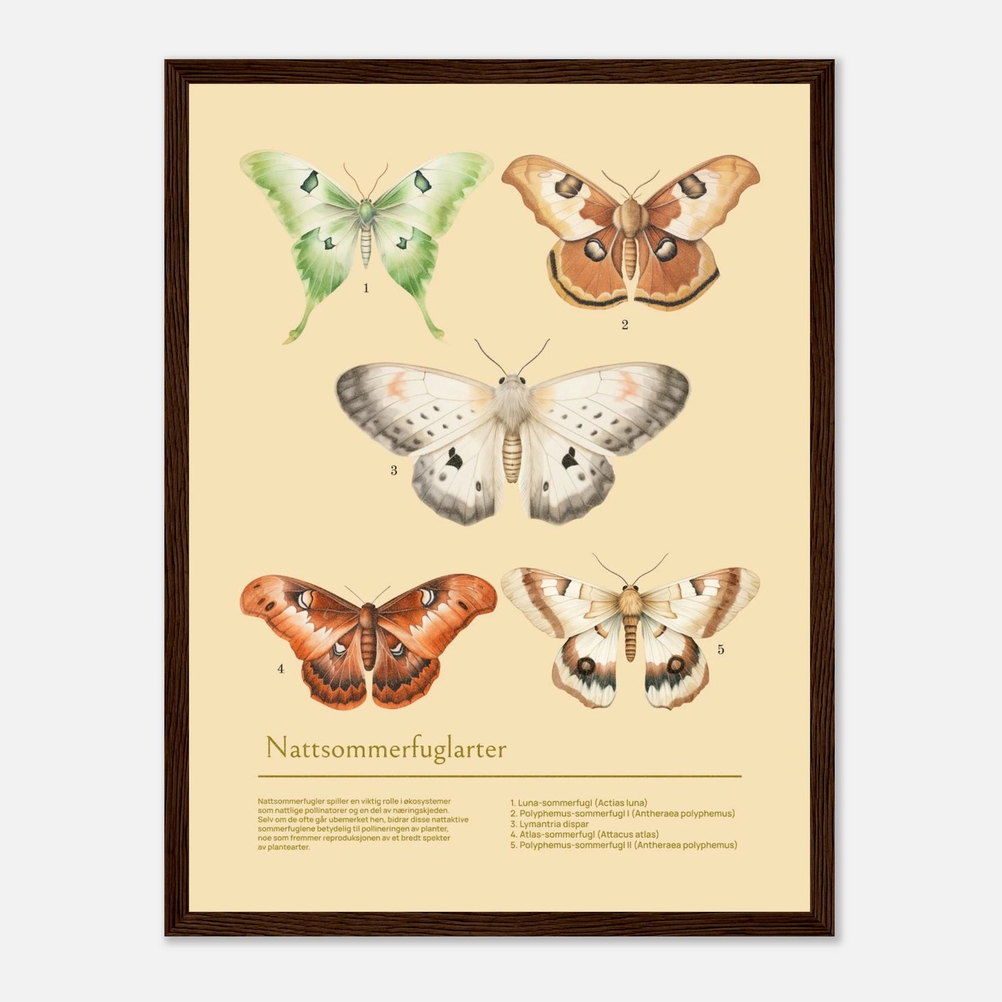 d2cafa9d-0a90-4128-b3e8-df8ea0abc9bf