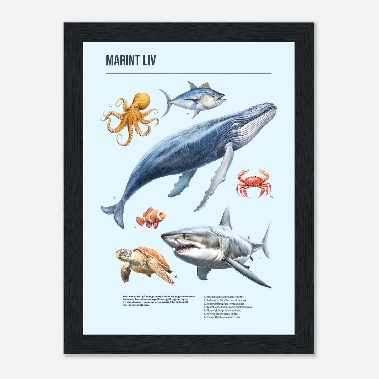 d52422f3-7dce-4106-8c59-ebe533057228