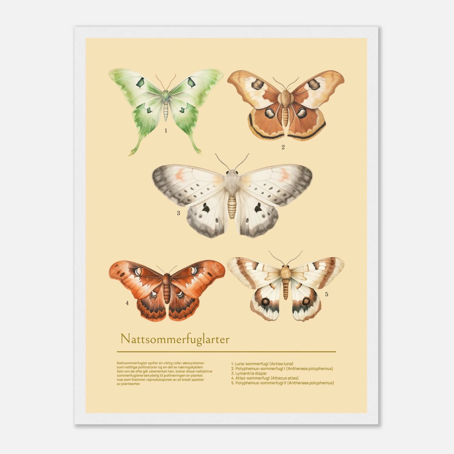 d58baeda-f007-402e-87eb-3cb6800df7fb