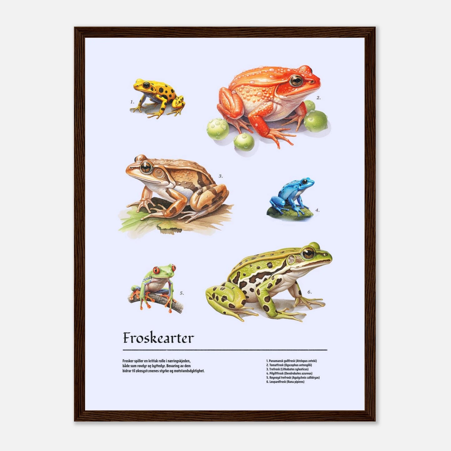 d93169cf-a34a-4e47-b9c1-30d817b220f4