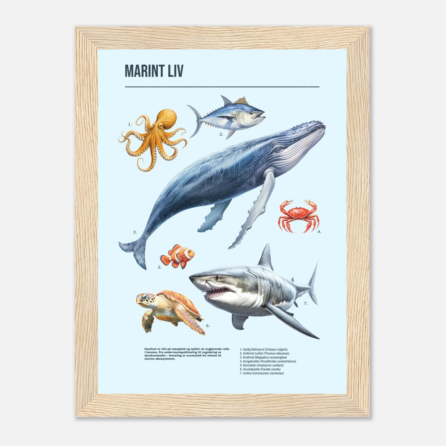 df459d9f-26a9-42b9-a264-46710a37647c