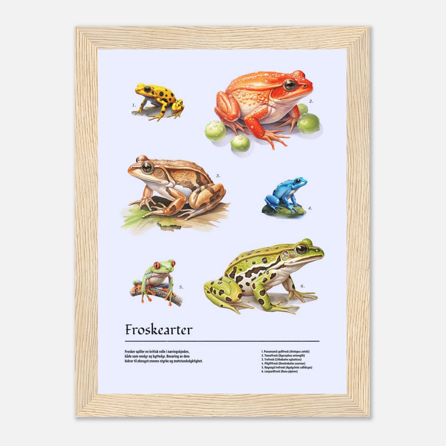 dfb7b9cc-c398-430d-a618-ea57a3ebab06